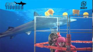 DIA 2 Expo Tiburon150