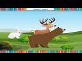 Squirrely Shirley | Kriti Educational Videos