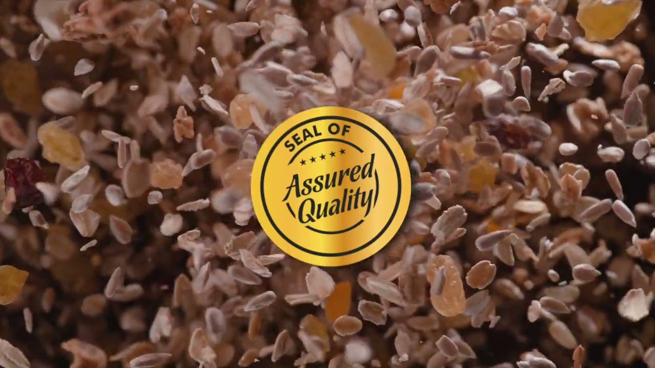 Saffron Home · Premium Nuts & Dried Fruits Brand Film