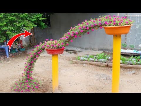 Making a beautiful waterfall garden Portulaca Moss Rose from plastic bottles for small garden