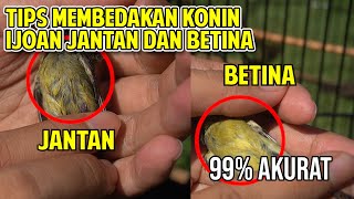 Download lagu 4 Ways to distinguish male and female green konin mp3
