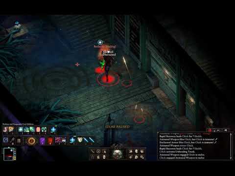 Pillars of Eternity II  Deadfire Solo Swashbuckler vs Enchanted Armor  PoTD Upscaled