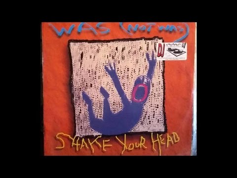 Was Not Was - Shake Your Head