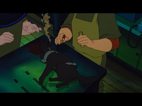 Felidae 1994 Lab experiment scene 4K