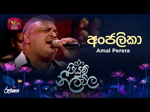 ANJALIKA | අංජලිකා | Amal Perera | Piyum Neela Vila | Roo Tunes