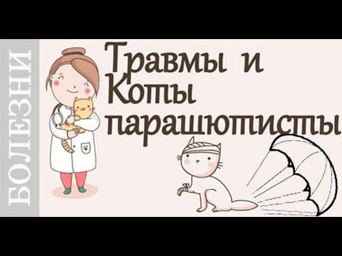 Йога для шейного остеохондроза видео Растянул мышцы поясницы болит