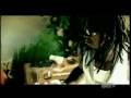 Birdman Ft Lil Wayne Stuntin Like My Daddy RamVideos
