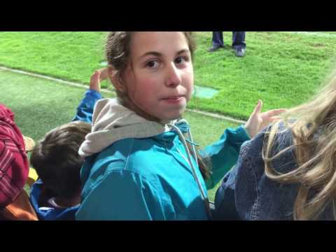 DVTK - Kispest Honvéd