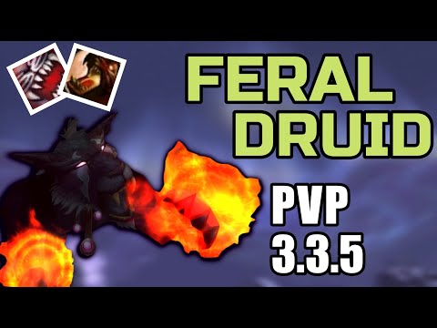 FERAL DRUID PVP 3.3.5 - BEGINNER GUIDE WARMANE WOTLK (Talents,Gear,Spells,Duels,Tips) 2020