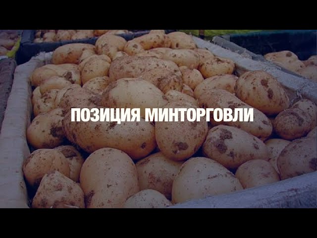 320 тенге за килограмм картошки