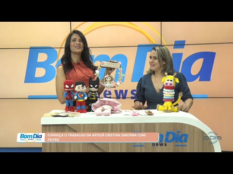 Conheça o trabalho de produtos com feltro feitos pela artesã Cristina Santana 26 08 2022