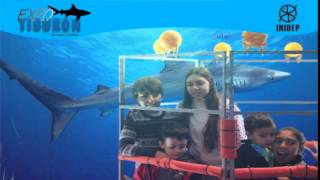 DIA 2 Expo Tiburon273