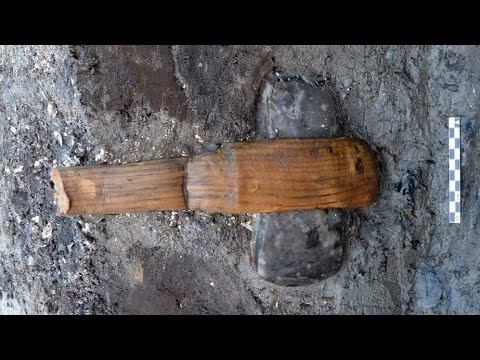 Archaeologists In Denmark Unearthed A Stone Age Axe Complete With A Wooden Handle Video