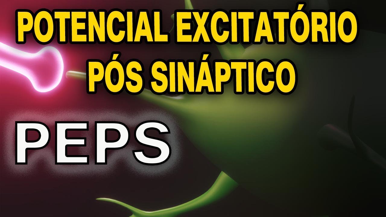Potencial Excitatório Pós Sináptico - PEPS