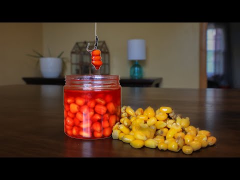 How To Prep Flavor & Use Corn For Carp & Catfish