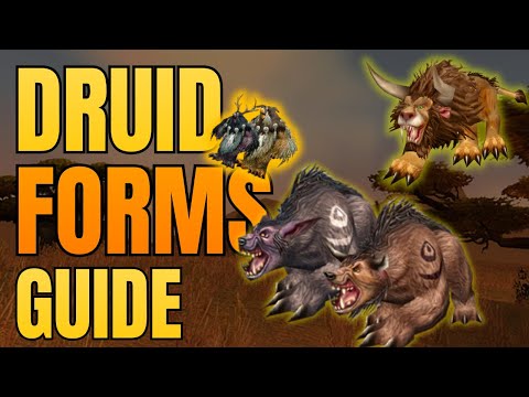 WoW Classic Druid Forms Guide – Bear, Cat, Travel, Aquatic & Moonkin Quests (Alliance & Horde)