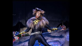 Alex Snova - Mr. Mistoffelees - CATS the Musical. Vienna revival 2019/22