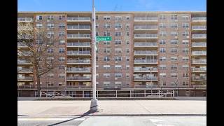 380 Cozine Ave  Brooklyn, NY | Shawn May Photography