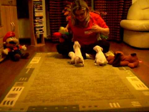 Narciso Nina Nirvana 9 wo 1.avi