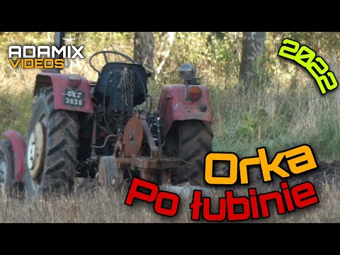 ✔🔥Orka po łubinie 🔥VLOG#30☆ursusc-330 , pług 2 skibowy☆✔
