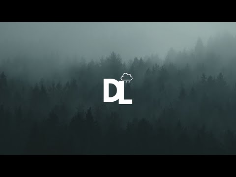 Listen to the rain in the Forest |  Relax, reduce anxiety, and sleep deeply | 10 Hours