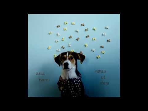 Darius Žvirblis "Depresijos Apimti Snobai Būriais Traukia į Vilnių"