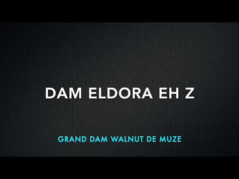 Cornet and Walnut together! Embryo by Cornet Obolensky and Eldora EH Z)