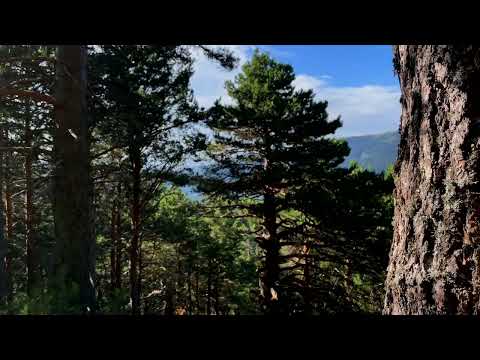 Senda Mirando al Valle de Valsaín (Parque Natural Sierra Norte de Guadarrama - Segovia)