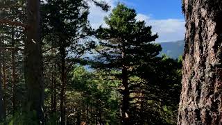 Senda Mirando al Valle de Valsaín (Parque Natural Sierra Norte de Guadarrama - Segovia)