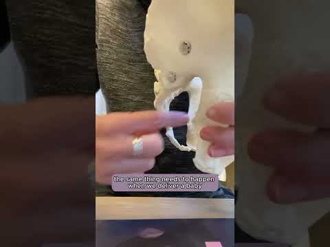 how YOUR tailbone affects pelvic floor dysfunction?