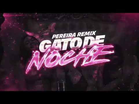 GATO DE NOCHE - RKT - Pereira Remix