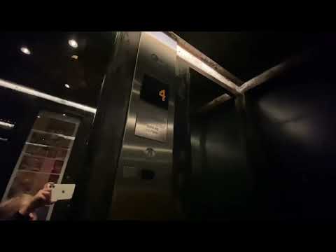 ANAZING Schindler Elevator at Hotel Santa Isabell Europapark @Hotel Santa Isabell Europapark