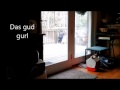 Slimme hond