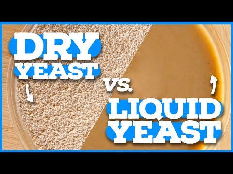 DRY YEAST VS LIQUID YEAST - Home Brewing Beginner's Intro to Yeast