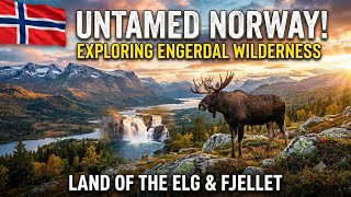 🌲 Discover Engerdal, Femundsmarka, Elgå, Drevsjø & Gutulia National Park | Norwa