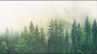 RAIN SOUND TO SLEEP In 5 Minutes With Thunderstorms [RAIN SOUND to Sleep and Relax]