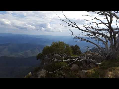 Song of the Enchanting Wildwoods - Longchenpa (Longchen Rabjam)