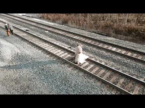 Bound and Branch video.