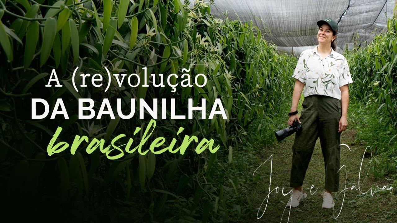A (R)EVOLUCÃO DA BAUNILHA | DOCE BRASIL