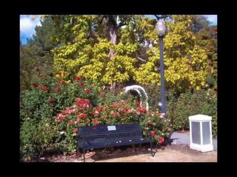 State Capitol Park - Sacramento