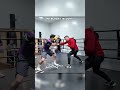Boxing defense. Learn the basics !