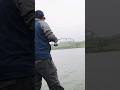 Video Thumbnail for Nice little, Walleye #fishing #shorts
