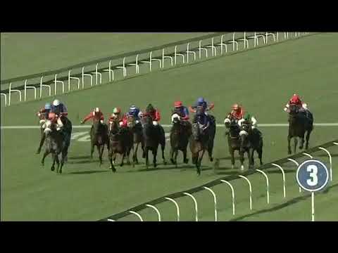 2019.05.04 SA Nursery (RSA) - Frosted Gold