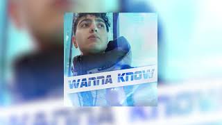 Wanna Know - (song)