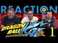 TFS DragonBall Z Kai Abridged REACTION Episode 1