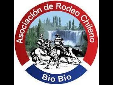 FINAL SERIE DE CAMPEONES  RODEO CLUB QUILLECO PROVINCIAL 3 SERIES - DESDE MEDIALUNA TEMPLO DEL HUASO