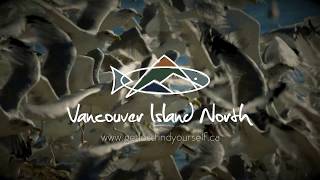 Get Lost in Nature - 3