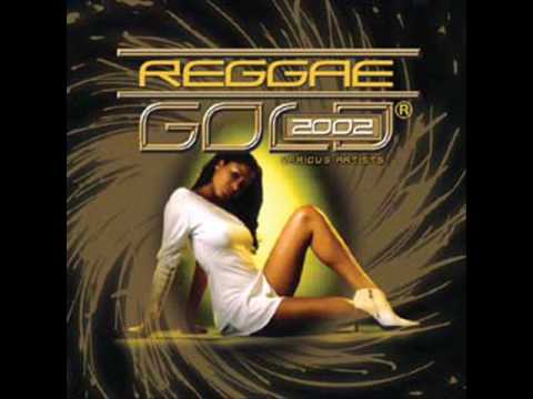 Elephant Man - Shizzle My Nizzle