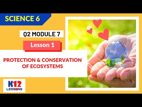 Science 6 Quarter 2 Module 7 Lesson 1 - Protection and Conservation of Ecosystems