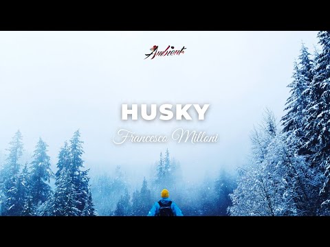 Francesco Milloni - Husky [Asleep (Re)work] [inspiring classical ambient]